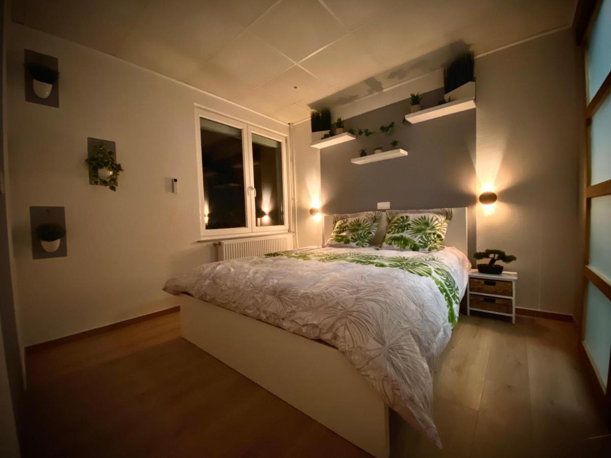 Logements Equipes A Onnaing Avec Espace Balneo En Option Proche Toyota, Autoroute Et Valenciennes エクステリア 写真